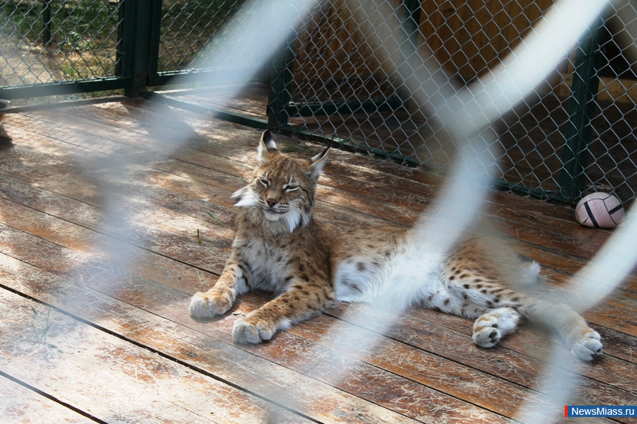 ���� ������������ ������. ��������� �� ��������� �������� ��������� �������� "�������������"