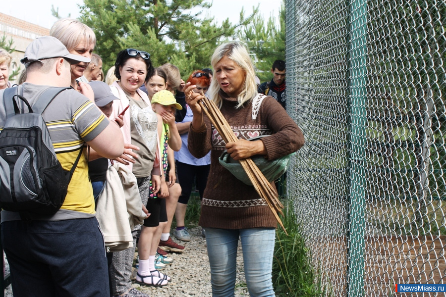 ���� ������������ ������. ��������� �� ��������� �������� ��������� �������� "�������������"