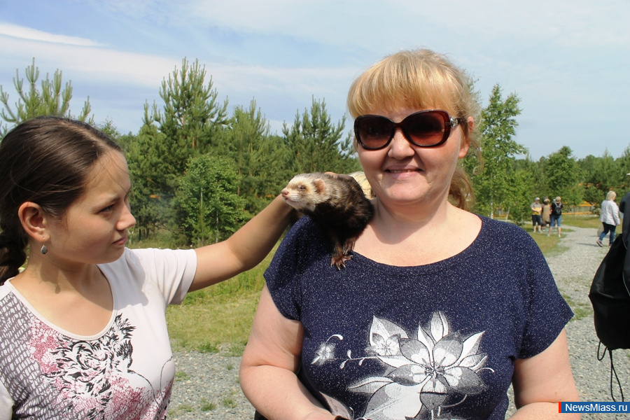 ���� ������������ ������. ��������� �� ��������� �������� ��������� �������� "�������������"