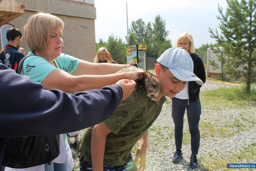 ���� ������������ ������. ��������� �� ��������� �������� ��������� �������� "�������������"