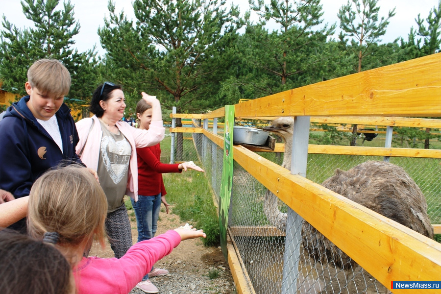 ���� ������������ ������. ��������� �� ��������� �������� ��������� �������� "�������������"