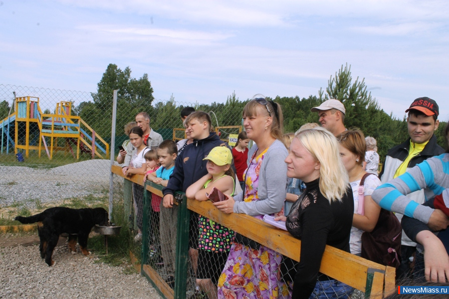 ���� ������������ ������. ��������� �� ��������� �������� ��������� �������� "�������������"