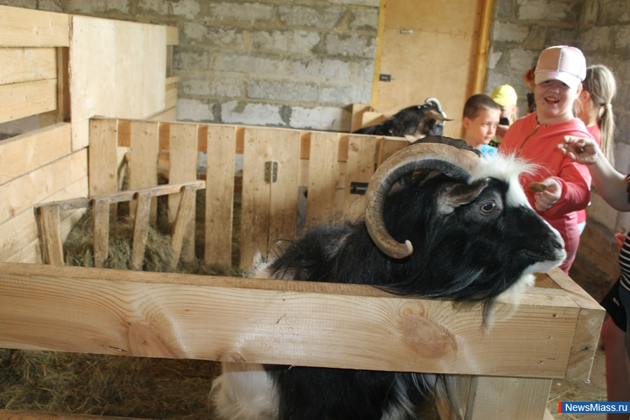 ���� ������������ ������. ��������� �� ��������� �������� ��������� �������� "�������������"