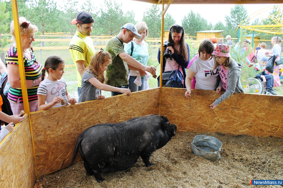 ���� ������������ ������. ��������� �� ��������� �������� ��������� �������� "�������������"