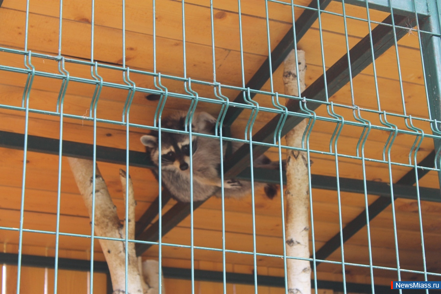 ���� ������������ ������. ��������� �� ��������� �������� ��������� �������� "�������������"