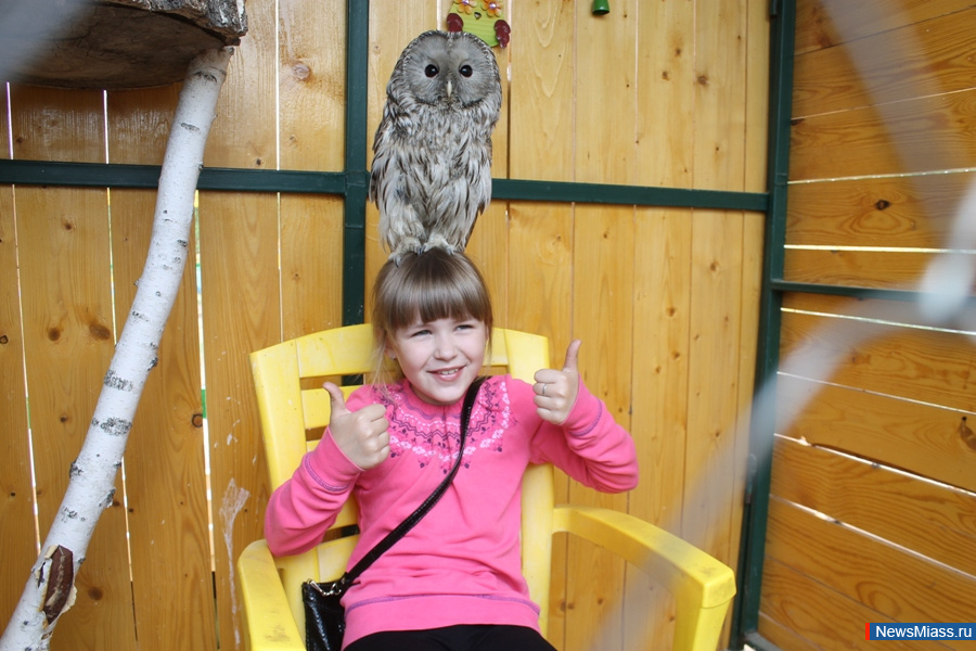 ���� ������������ ������. ��������� �� ��������� �������� ��������� �������� "�������������"