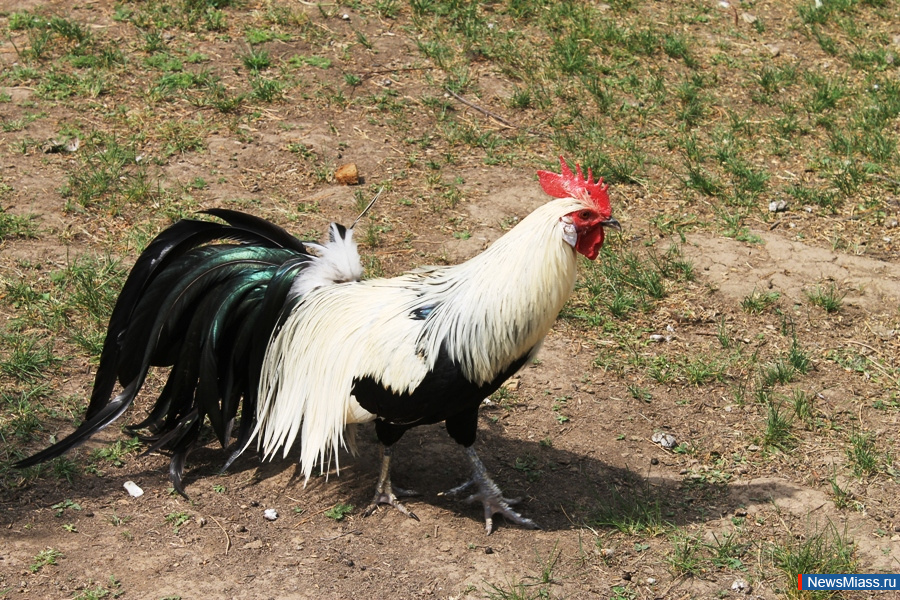 ���� ������������ ������. ��������� �� ��������� �������� ��������� �������� "�������������"