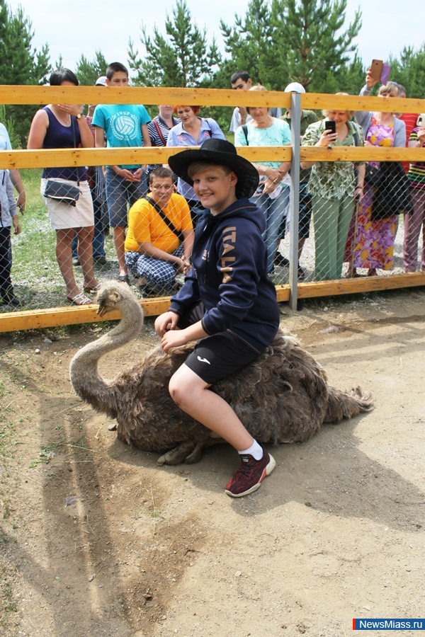 ���� ������������ ������. ��������� �� ��������� �������� ��������� �������� "�������������"