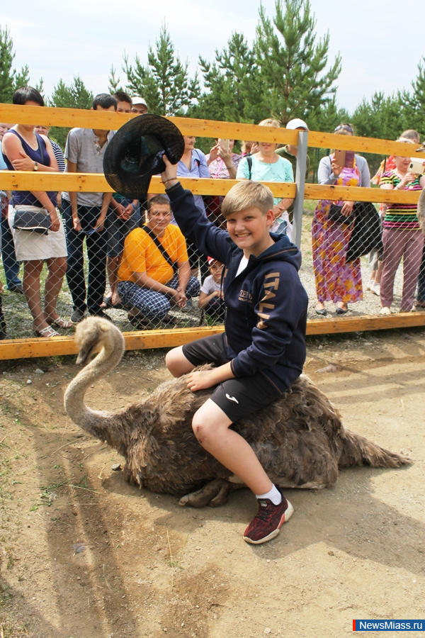 ���� ������������ ������. ��������� �� ��������� �������� ��������� �������� "�������������"