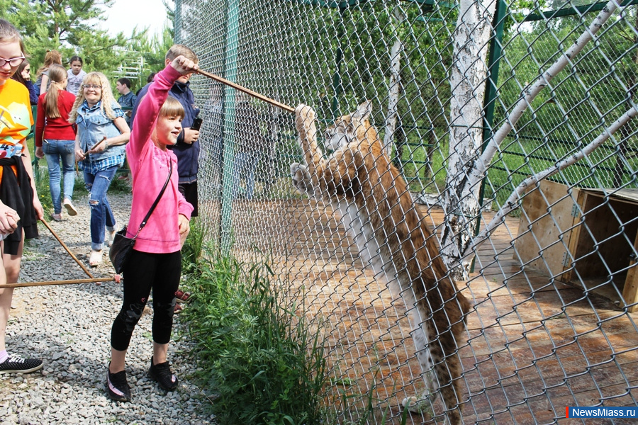 ���� ������������ ������. ��������� �� ��������� �������� ��������� �������� "�������������"