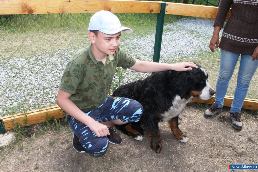 ���� ������������ ������. ��������� �� ��������� �������� ��������� �������� "�������������"