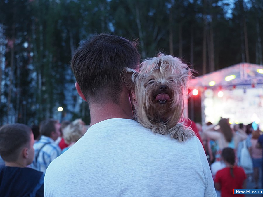 ����������� ������������. ������������ 60-����� ���������� ����������� ����� ��������� � ����������� �������