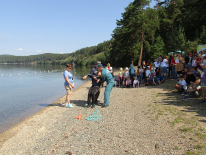 �������� ����������� ���������� �������