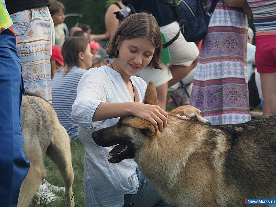 "  ,    ...".              -  