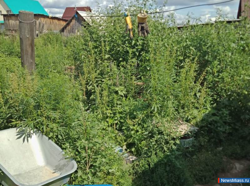  ""  . "  ":       84  