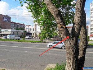 ���� ������ �������� ��� ���� ���!