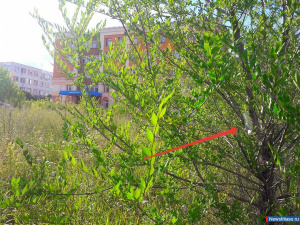 ���� ������ �������� ��� ���� ���!