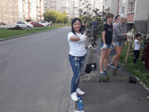 "����� ������"