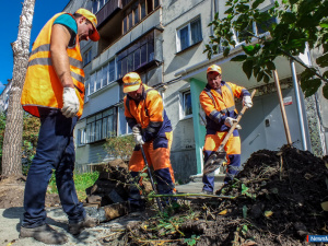 "������ ���� ������� ���, ��� ������ �������"