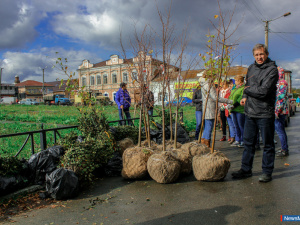 ��������� ������� ���� �����