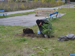 ������ ����