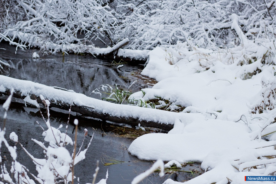 ����� - ���������. ������ ��� �������� ������� ��������� � �������� ������ ������������ ������ � ���� ��������� ��������� �����