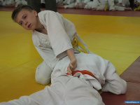 ���� ������������ - ���� �������