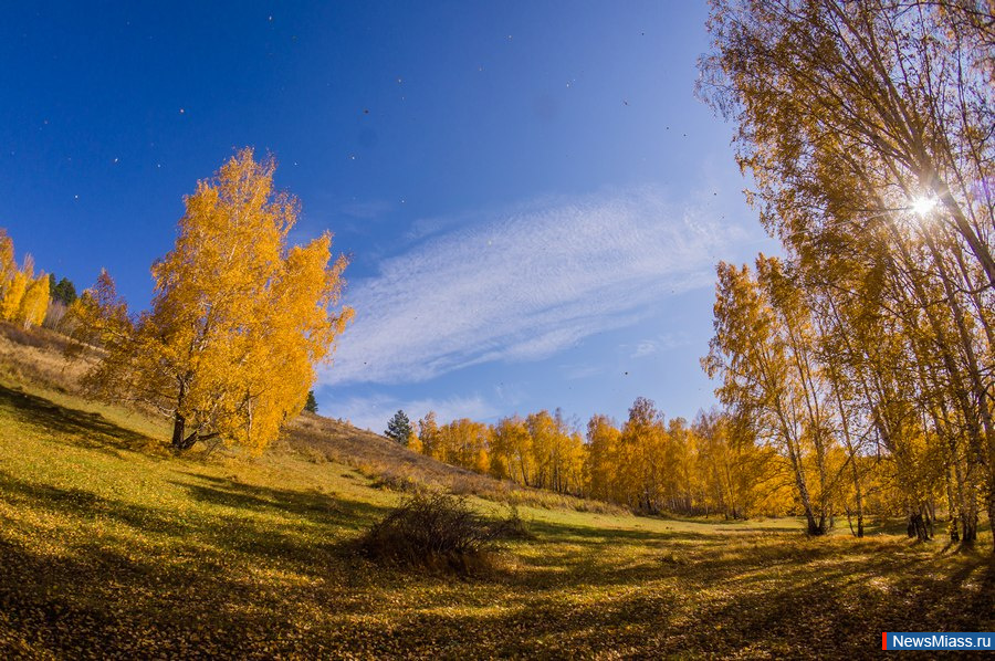 ������� ������ ����������. ������� �����-2019 - � ��������� ���������� ��������