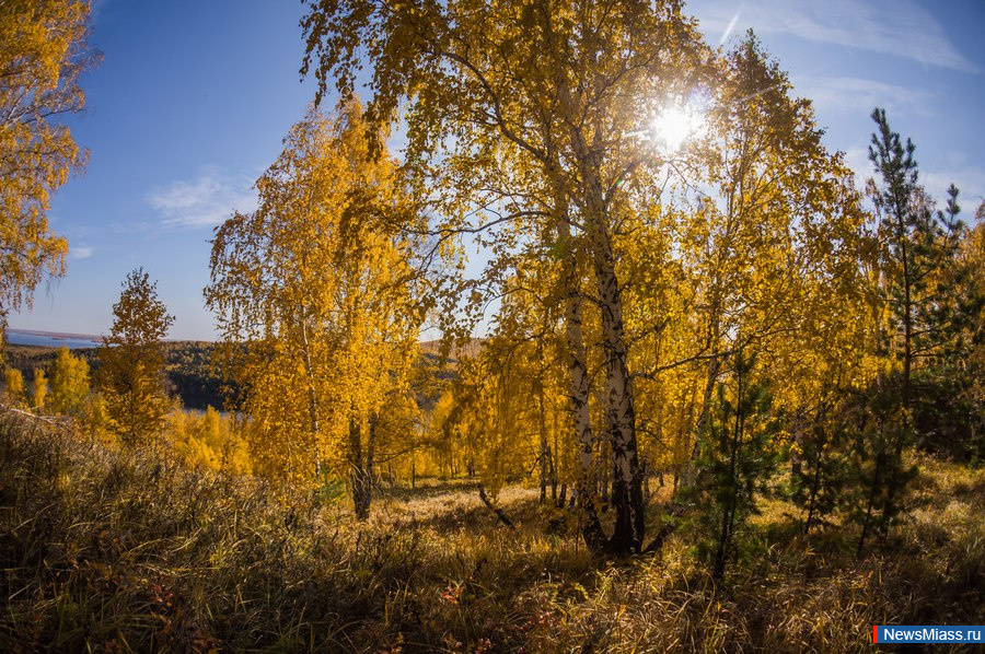 ������� ������ ����������. ������� �����-2019 - � ��������� ���������� ��������