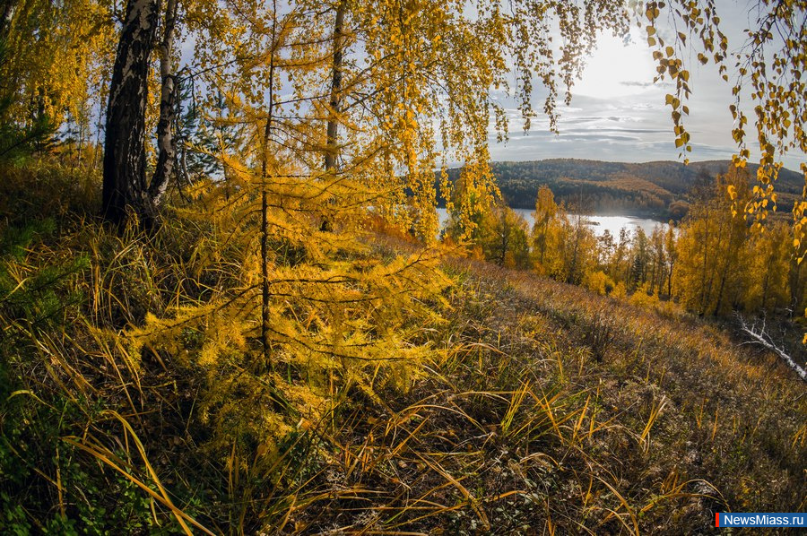 ������� ������ ����������. ������� �����-2019 - � ��������� ���������� ��������