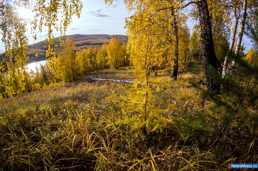 ������� ������ ����������. ������� �����-2019 - � ��������� ���������� ��������