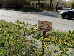 "��� ���������� ���� �� ��� � ����������, ������� � ������ ������"