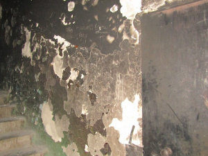 ������ - ��� ��������?