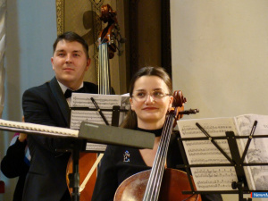 ������ ������