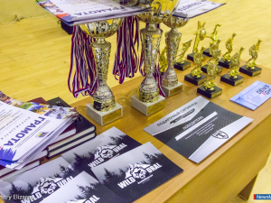 � ������ ���������� ����������� ����-����������� �������