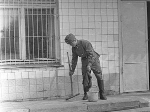 "������� ���� ������� ��� �� �������������� �������, ������� � ��������, ������ ����"...