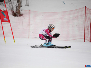 ���������� ������ ���������� ������� �� ������������� �������������