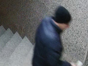 ������� ������ ������ ������ � ������� �����������