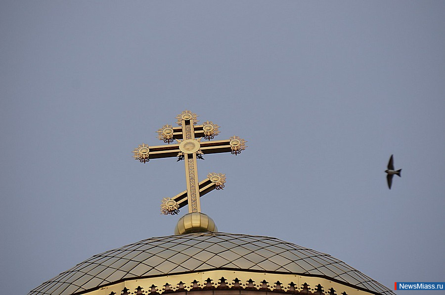 -         .        -    