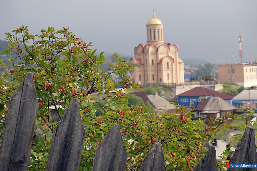 -         .        -    