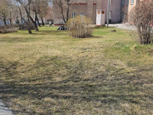 "��� ������ �� ������ ����� ����"