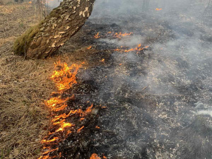 ������� ������ ����� � ������ ������ ������ ���