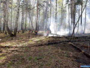 ������� ������ ����� � ������ ������ ������ ���