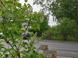 ������� ������ �������� ��������� ���������� ����� ������