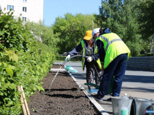 ����� �������: 20 ����� ������ ������� ��������� ������