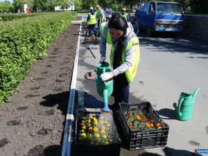 ����� �������: 20 ����� ������ ������� ��������� ������