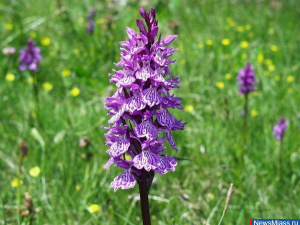 ���� ������ ��������� ��� ��������