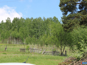 � ������ ��������������� �������� ����������