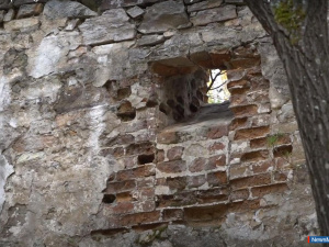 "����������� �����" ��� ������� �������� ������������� �����