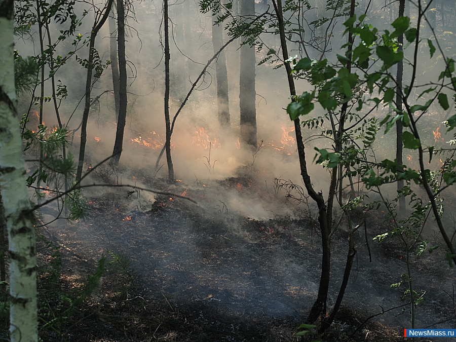 � ������ �� ������� ������ ������. �� ������ �������� ������ ���� �������� �������� ����. ��������� ���������� �� ��������������� �� ������� ����� �����